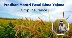 Crop-Insurance-Online