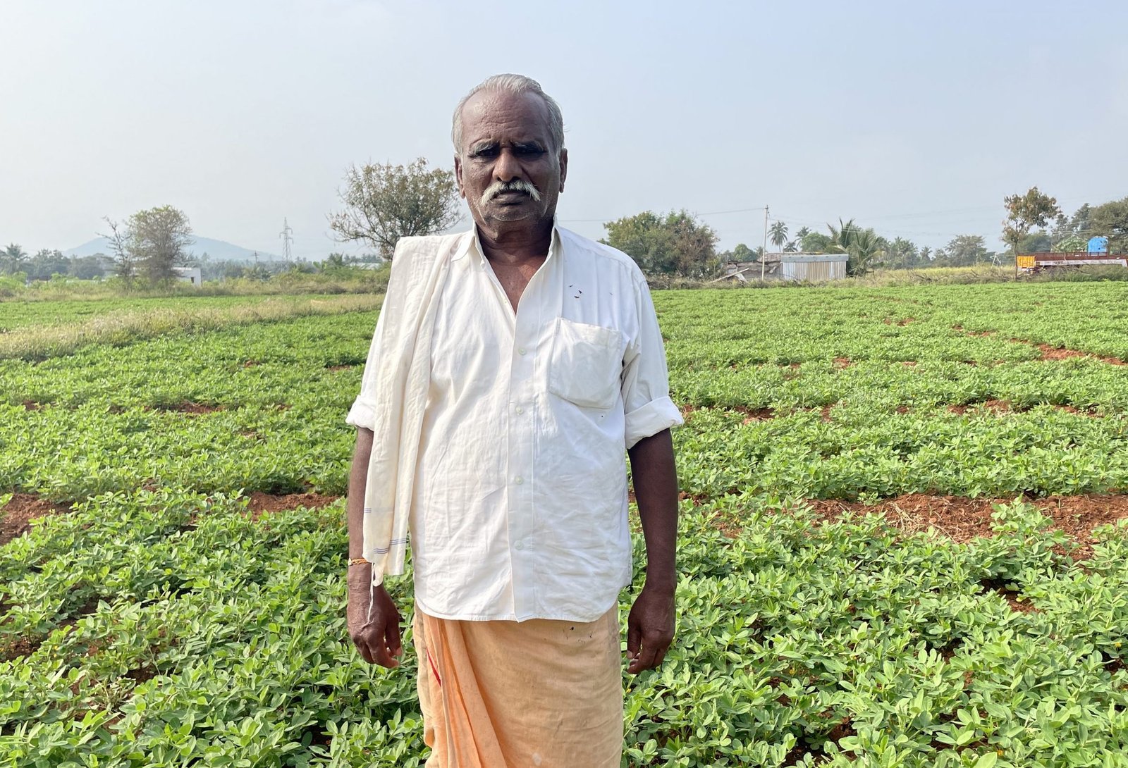Earn ₹10,000 Profit per Acre: Complete Guide to Groundnut Farming Success!