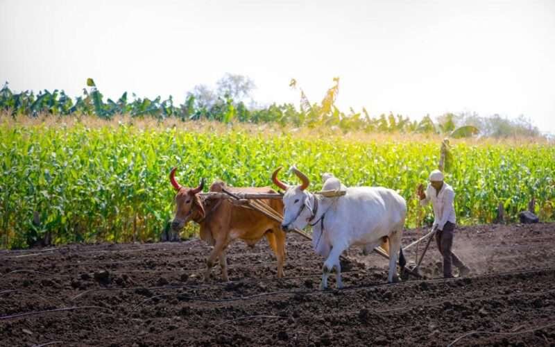 Organic Farming: An Overview!