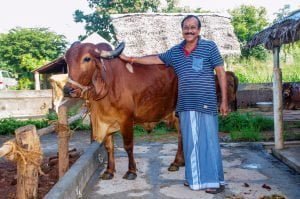 Pachai boomi - VIP Vivasayam - H.Raja