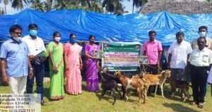 WhatsApp Image 2022-02-03 at 9.21.36 PM