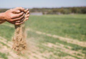 Calcareous Soil Amending Techniques