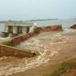 சிறப்புப் பகுதி