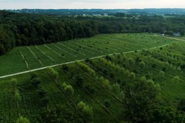 PACHAI BOOMI – English | Magazine | Agriculture | Horticulture | Livestock Farming | Monthly 94 Agroforestry for Sustainable Income!