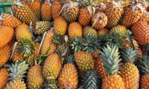 அன்னாசி