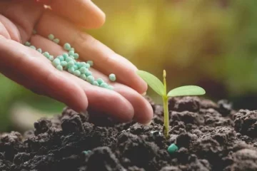 PACHAI BOOMI – English | Magazine | Agriculture | Horticulture | Livestock Farming | Monthly 92 Biofertilizers!