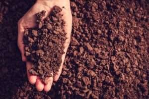 soil_shutterstock_funnyangel