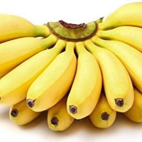 The Unique Qualities of Ney Poovan Bananas!