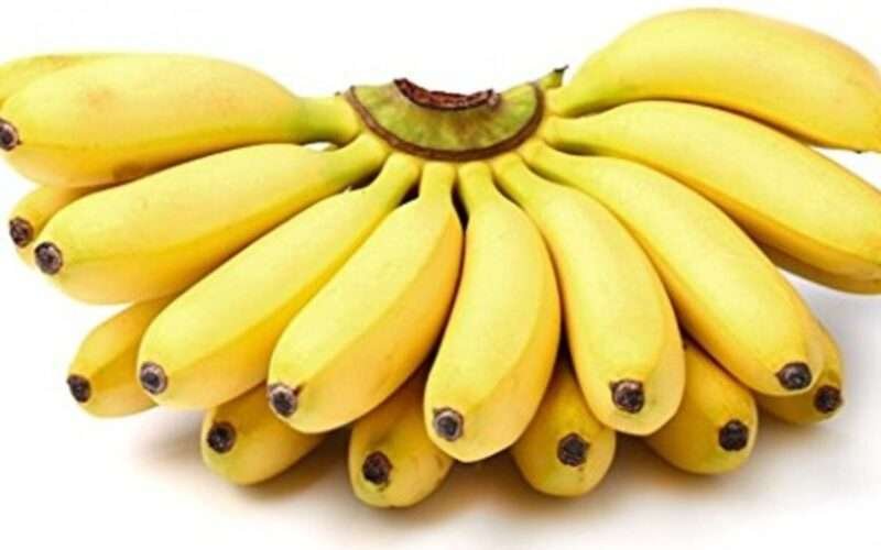 The Unique Qualities of Ney Poovan Bananas!