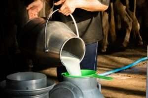 Milk Production