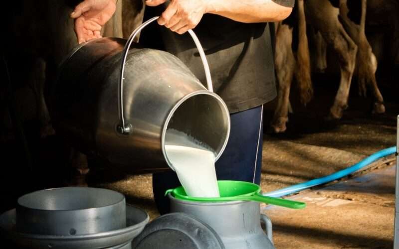 Best Milk Production Techniques! 1 Best Milk Production Techniques!