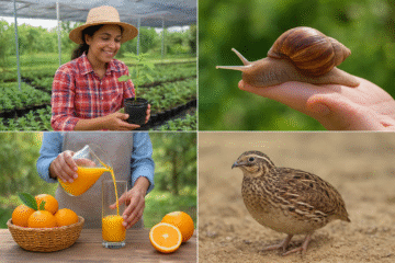 PACHAI BOOMI – English | Magazine | Agriculture | Horticulture | Livestock Farming | Monthly 22 15 Innovative Small Farm Business Ideas for Amazing Profits in India!