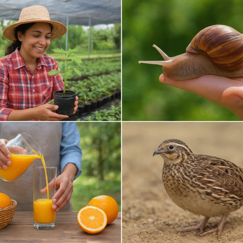 15 Innovative Small Farm Business Ideas for Amazing Profits in India!
