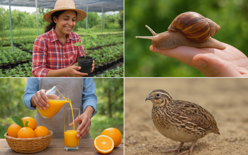 15 Innovative Small Farm Business Ideas for Amazing Profits in India!