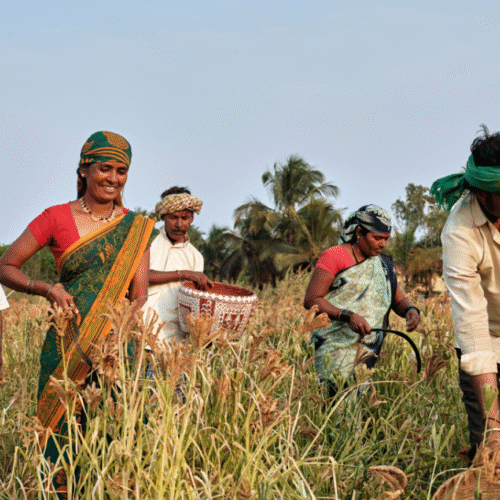 15 Karnataka Women Prove Sustainable Farming Can Beat Drought… UN Recognises Their Efforts!!