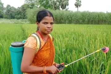 PACHAI BOOMI – English | Magazine | Agriculture | Horticulture | Livestock Farming | Monthly 60 Sowing Seeds of Self-Reliance: Anju Kumari, Samastipur’s Organic Farming Icon, Honoured at Rashtrapati Bhavan!