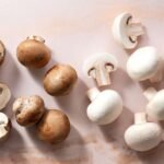 Button Mushroom (Agaricus bisporus) Farming Overview!