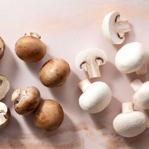 Button Mushroom (Agaricus bisporus) Farming Overview!