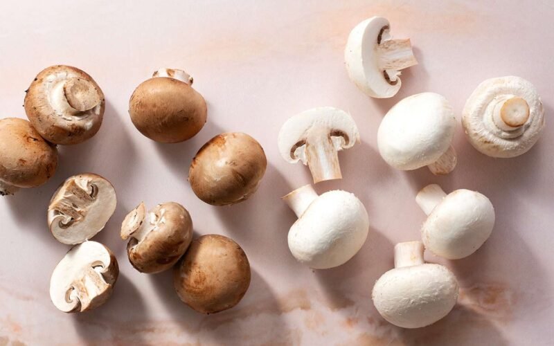 Button Mushroom (Agaricus bisporus) Farming Overview!