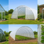 Greenhouse