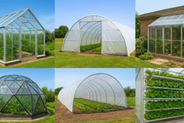 PACHAI BOOMI – English | Magazine | Agriculture | Horticulture | Livestock Farming | Monthly 47 Greenhouse Farming: Types, Features & Benefits Explained!