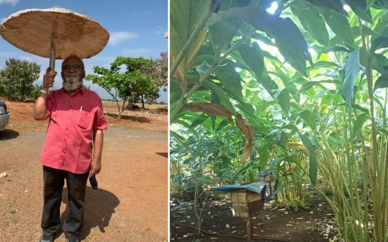 Reinventing Life at 73: The Engineer Who Found Peace in Organic Farming!