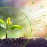 Micro Nutrients for Enhancing Crop Productivity!