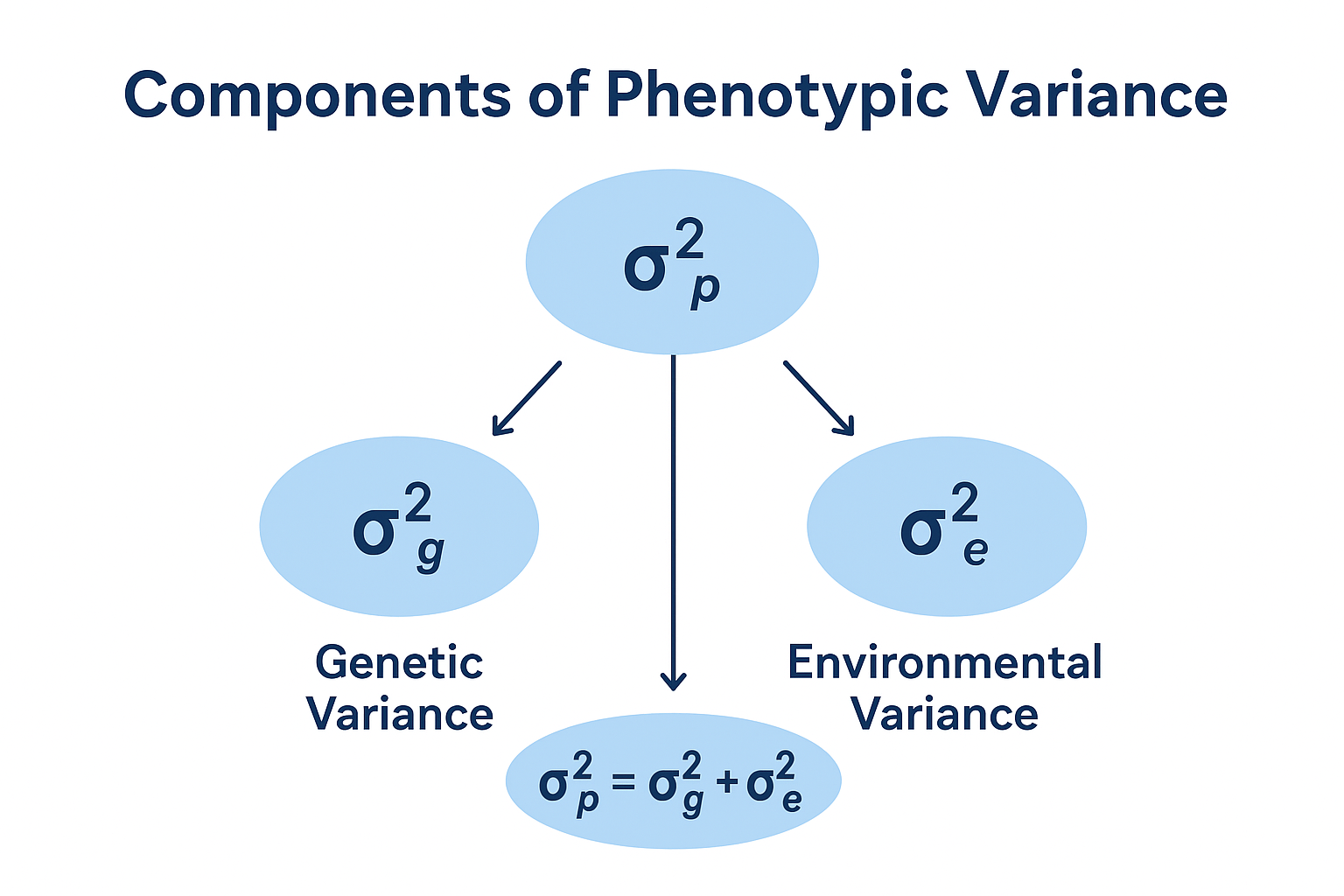 Quantitative Analysis of Genotypic Variability in Diverse Populations!