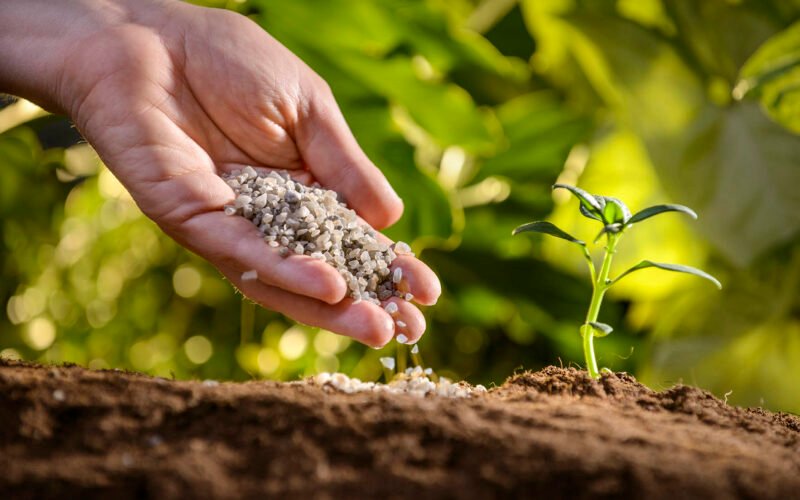 Secondary Nutrients for Enhancing Crop Productivity!