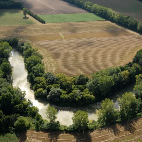 Vegetative Barriers in Watershed Development: A Sustainable Bioengineering Approach!