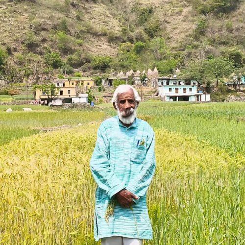 “Traditional seeds are very precious and need to be conserved in as many varieties as possible!”
