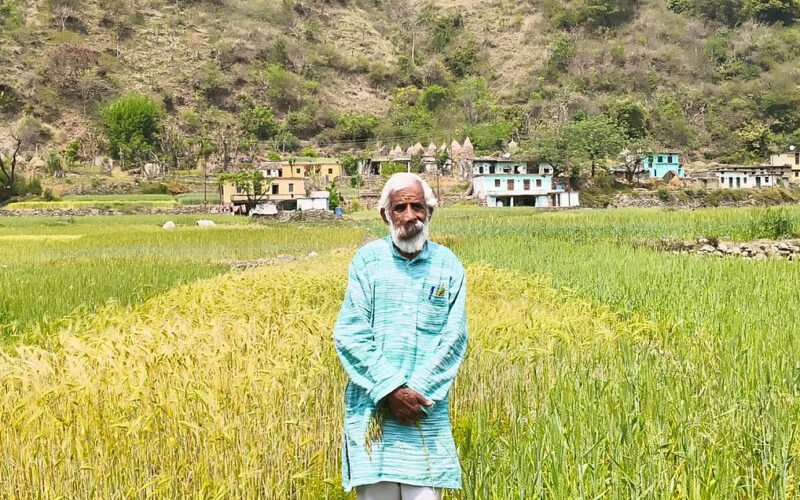 "Traditional seeds are very precious and need to be conserved in as many varieties as possible!"